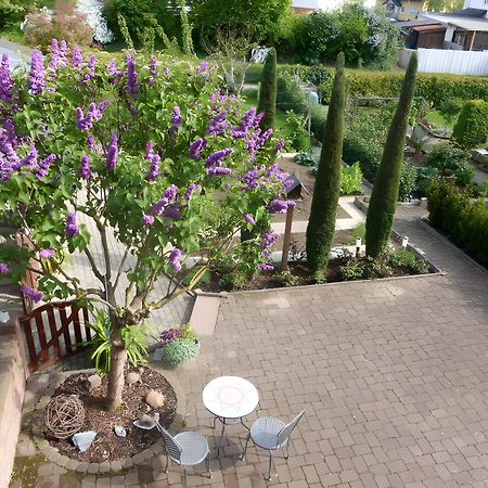 Ferienwohnung Schillinger Sasbach am Kaiserstuhl Eksteriør bilde